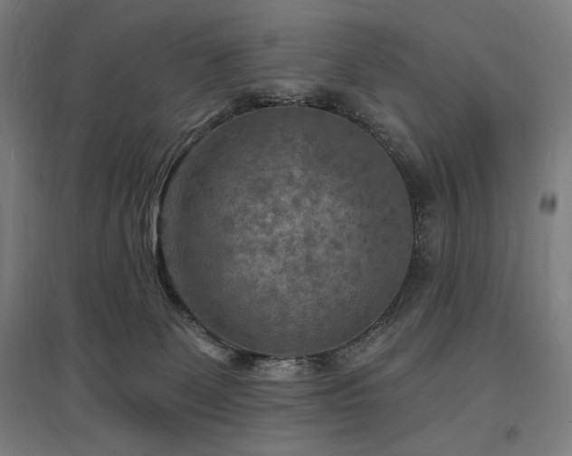 X0000096970131200802151316