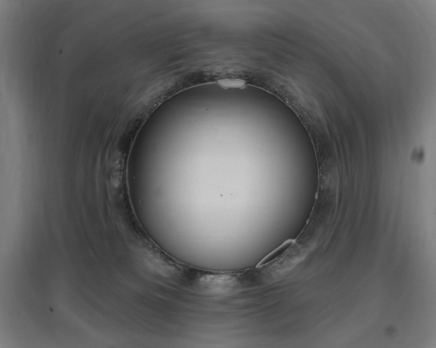 X0000096970133200802151316