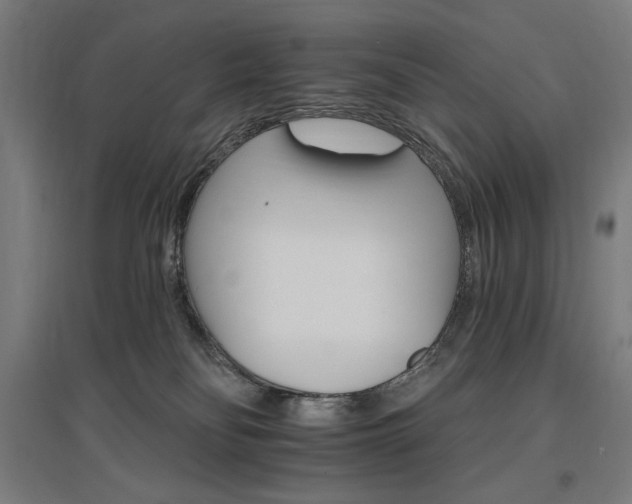 X0000096970134200802151316