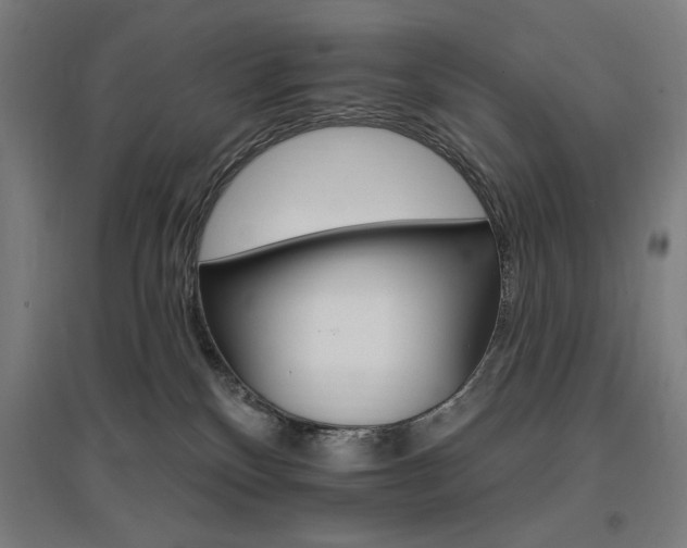 X0000096970136200802151316