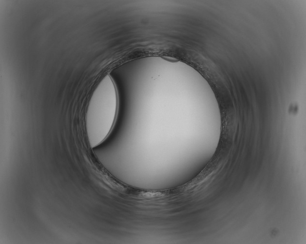 X0000096970137200802151316