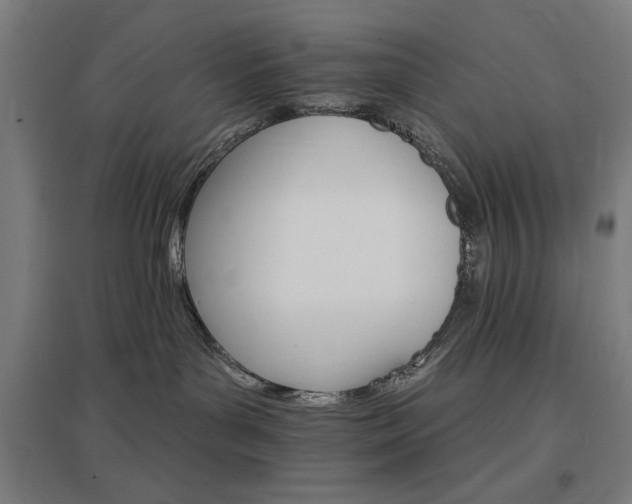 X0000096970143200802151316