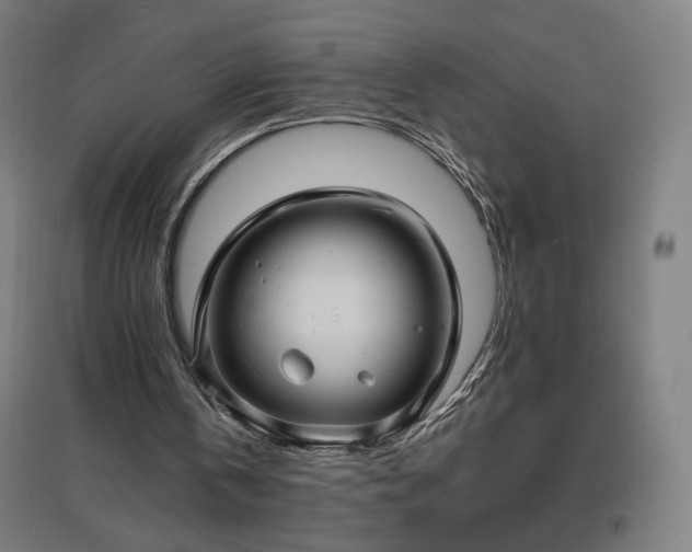 X0000096970146200802151316