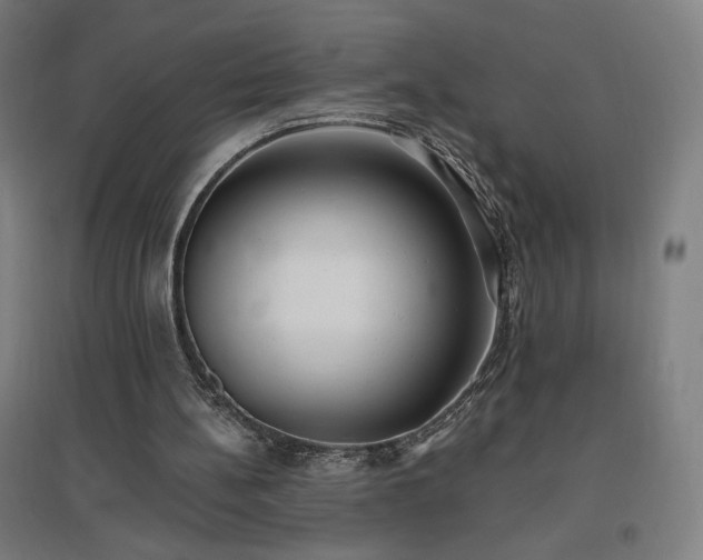 X0000096970148200802151316