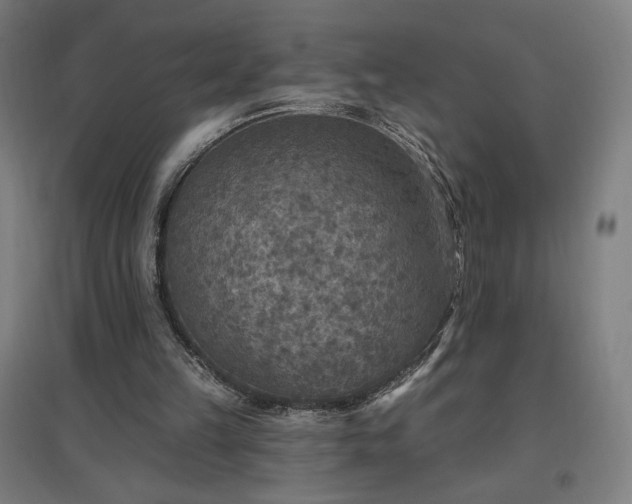 X0000096970149200802151316