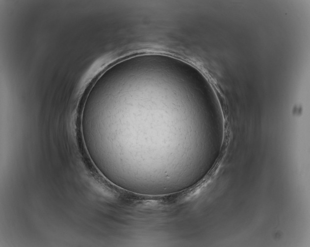 X0000096970151200802151316