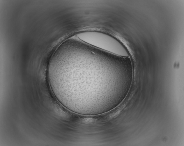 X0000096970153200802151316