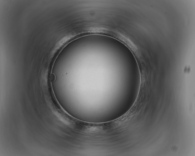 X0000096970155200802151316