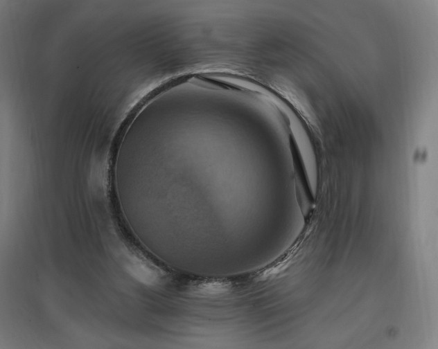 X0000096970156200802151316