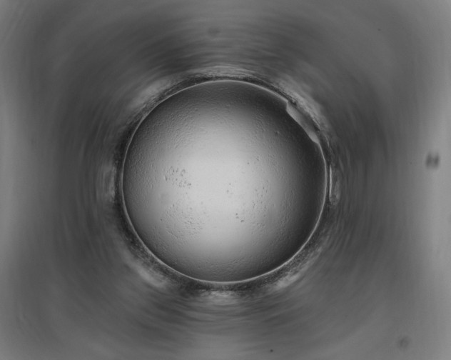 X0000096970157200802151316