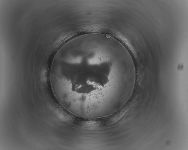 X0000096970161200802151316