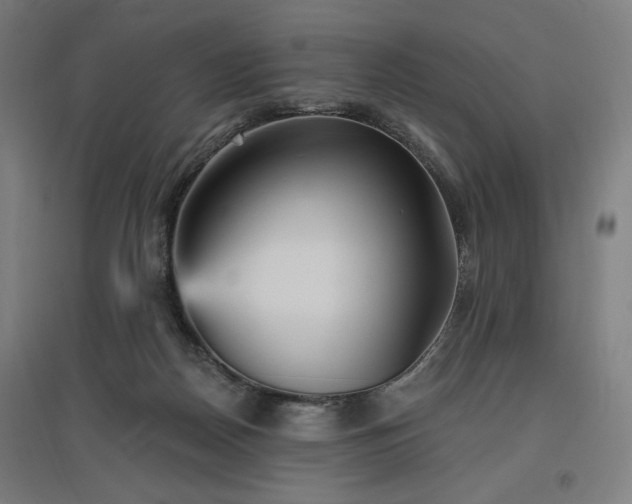 X0000096970170200802151316