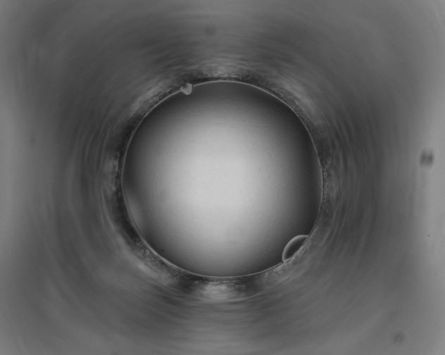 X0000096970171200802151316