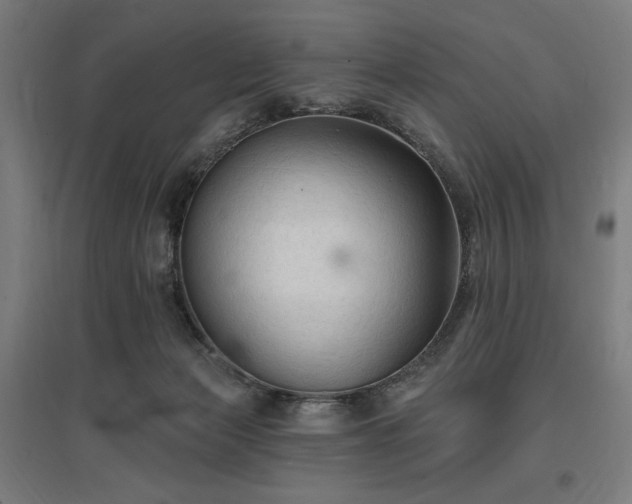 X0000096970173200802151316