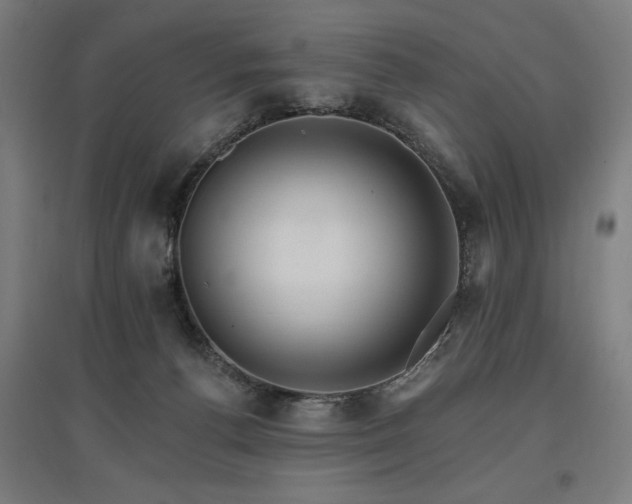 X0000096970176200802151316