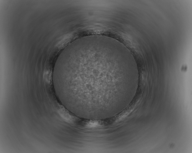 X0000096970177200802151316