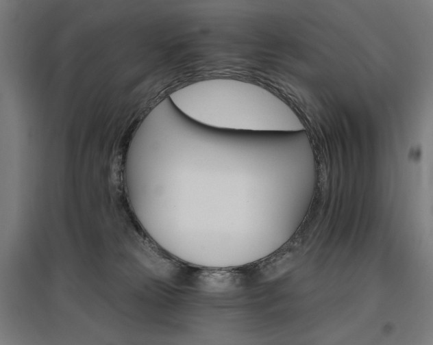 X0000096970181200802151316