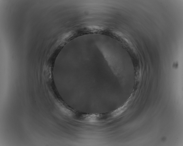 X0000096970182200802151316