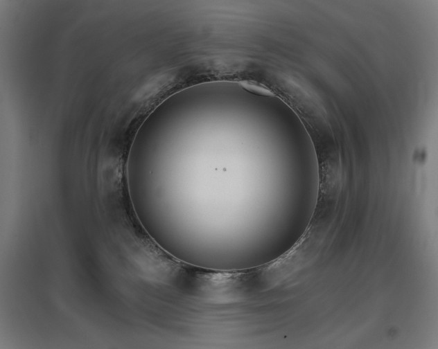 X0000096970184200802151316