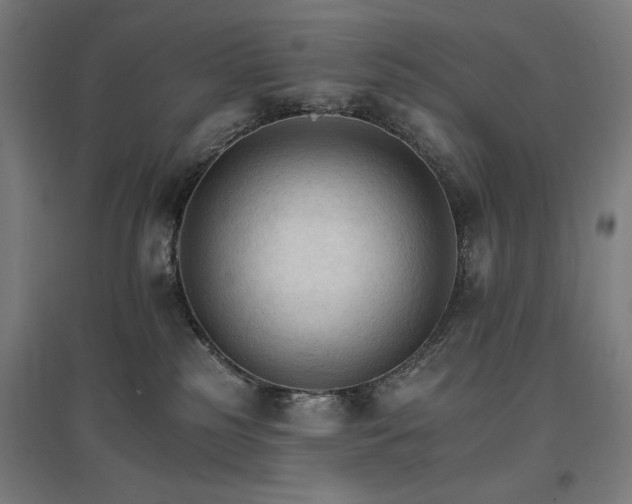 X0000096970185200802151316