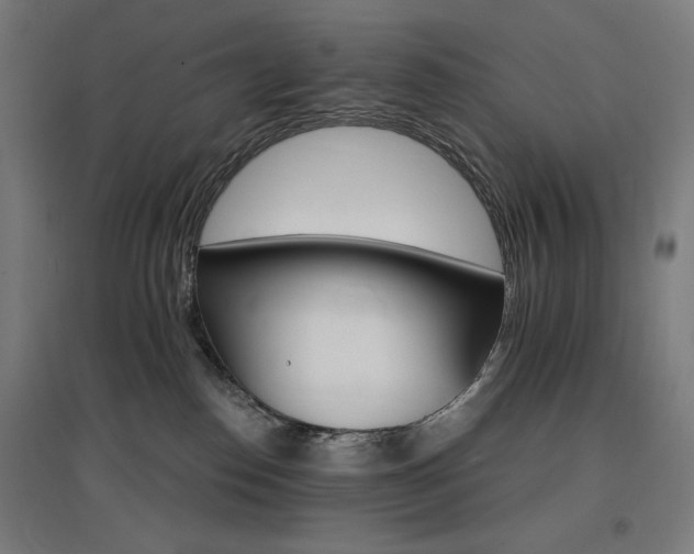 X0000096970186200802151316