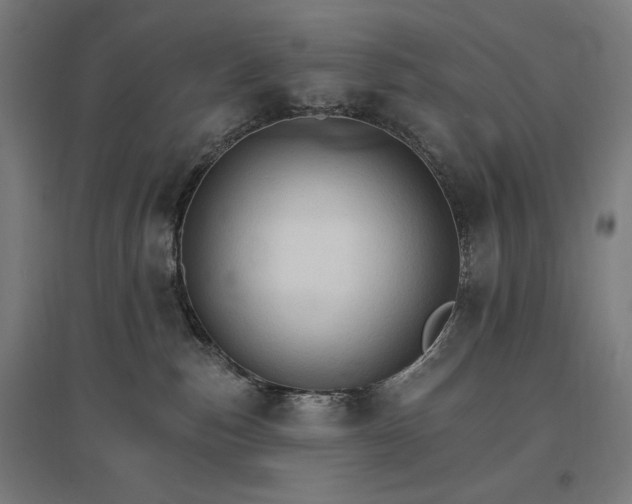 X0000096970187200802151316