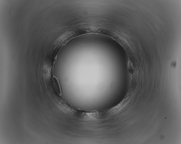 X0000096970188200802151316