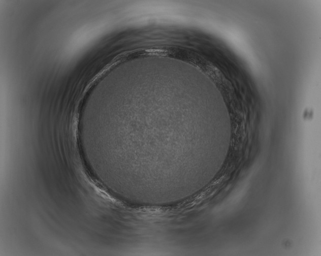 X0000096970194200802151316