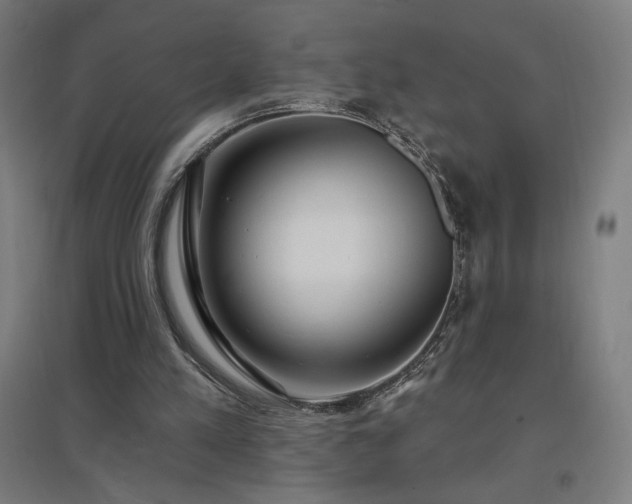 X0000096970197200802151315