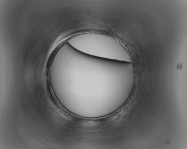 X0000096970198200802151315
