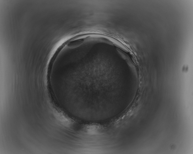X0000096970200200802151315
