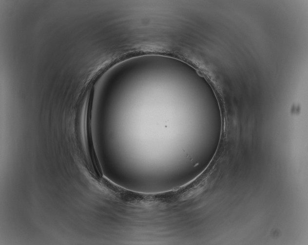X0000096970201200802151315