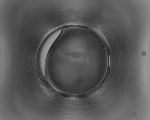 X0000096970204200802151315