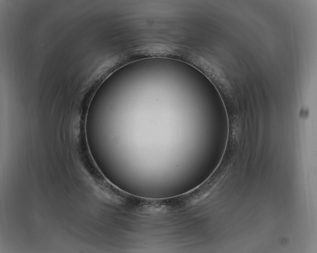 X0000096970206200802151315