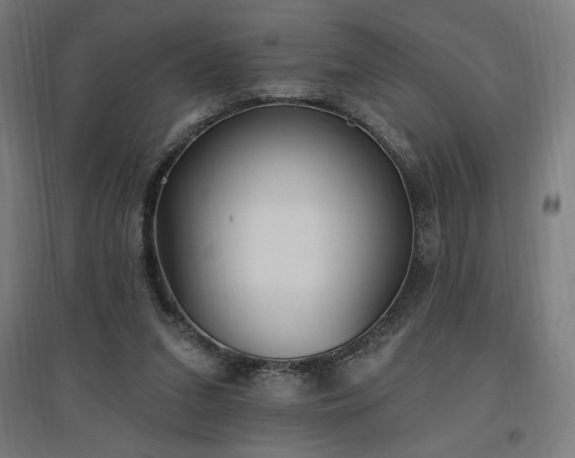 X0000096970207200802151315