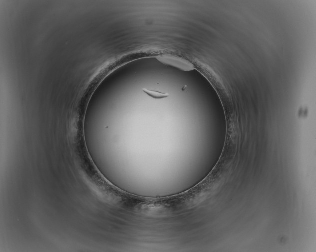 X0000096970208200802151315