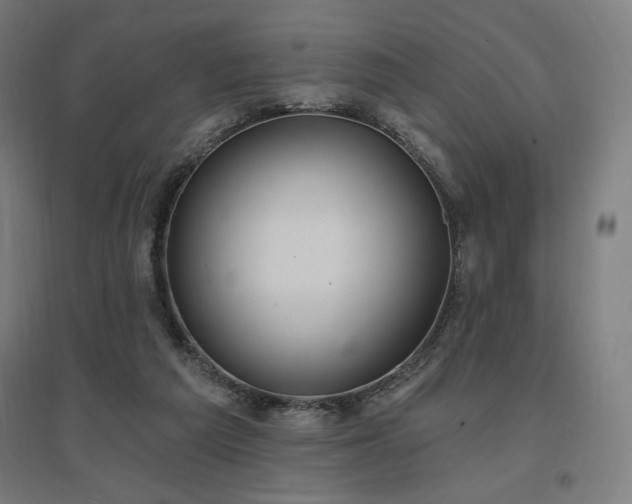 X0000096970209200802151315