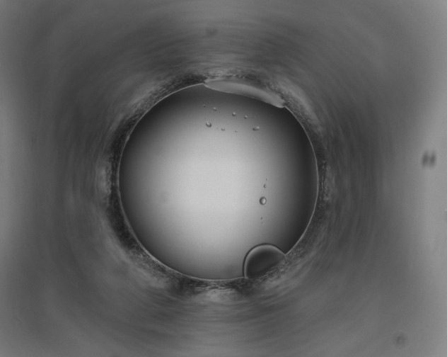 X0000096970210200802151315