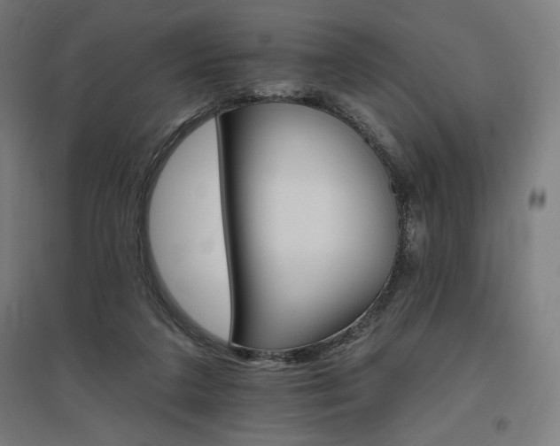 X0000096970211200802151315
