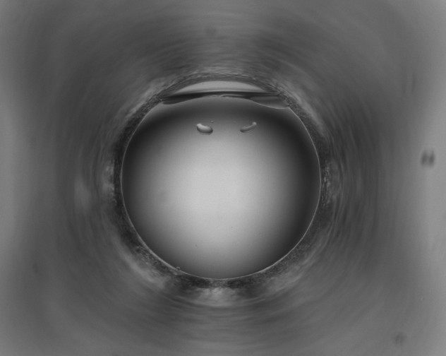 X0000096970212200802151315