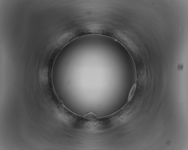 X0000096970213200802151315