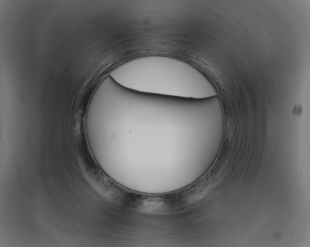 X0000096970214200802151315