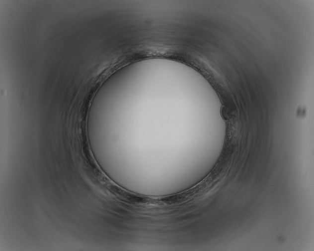 X0000096970215200802151315