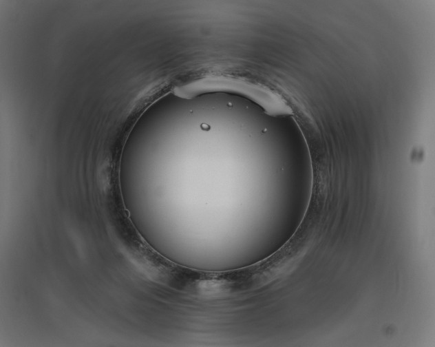 X0000096970216200802151315