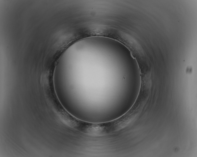 X0000096970217200802151315