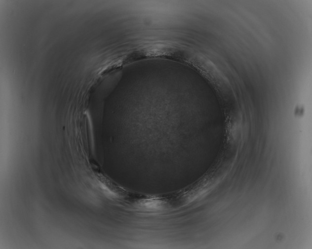 X0000096970219200802151315
