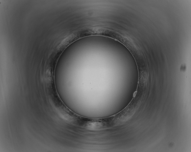 X0000096970220200802151315