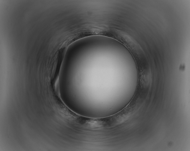 X0000096970221200802151315