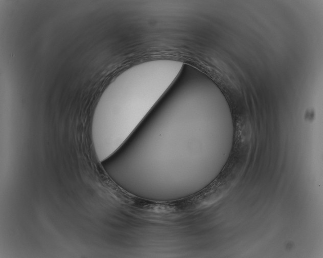 X0000096970223200802151315