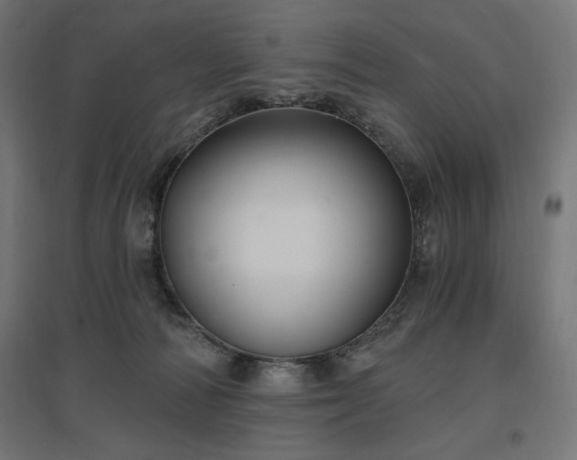 X0000096970226200802151315